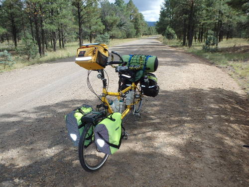 GDMBR:  Rear View of our bike, the Bee (a da Vinci Tandem).